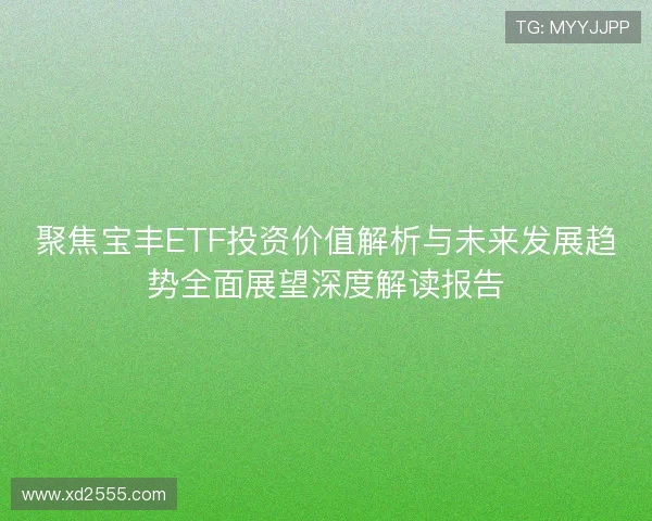 聚焦宝丰ETF投资价值解析与未来发展趋势全面展望深度解读报告